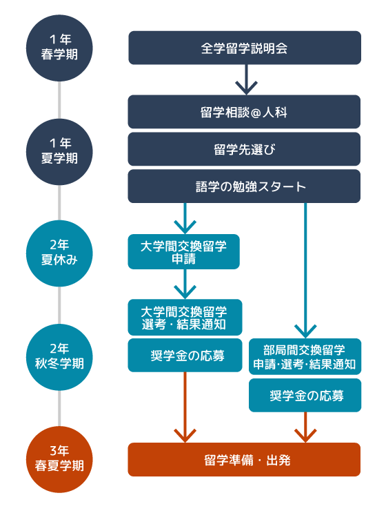 留学準備フローチャート